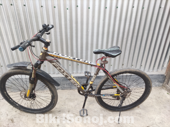 বাইসাইকেল